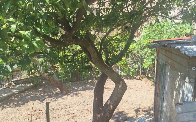 Villa unifamiliare vicolo Poerio snc, Caroniti, Joppolo — foto 4 di 25