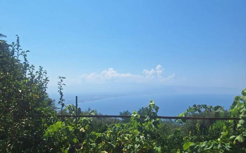 Villa unifamiliare vicolo Poerio snc, Caroniti, Joppolo — foto 24 di 25