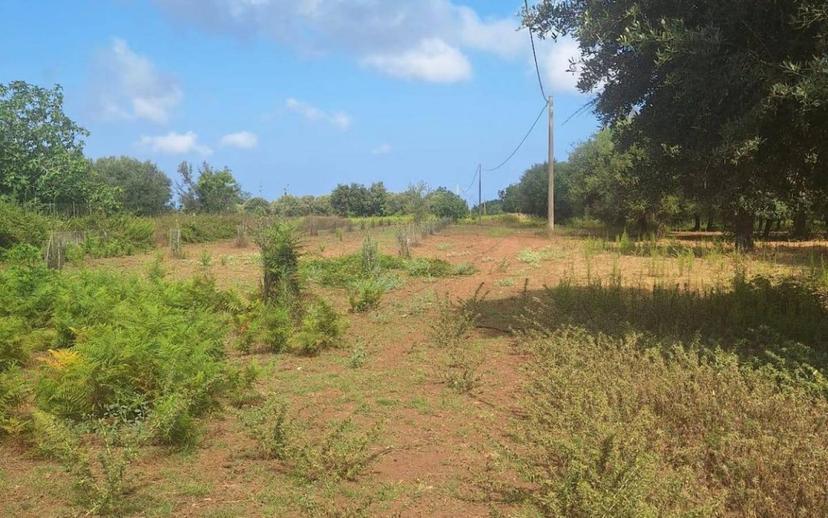 Rustico Località campo sposrtivo snc, Drapia — foto 10 di 10