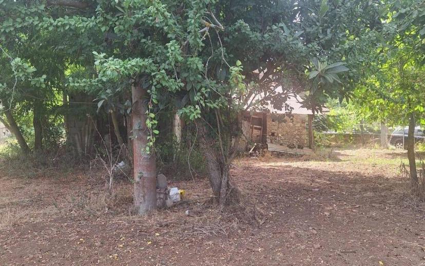 Rustico Località campo sposrtivo snc, Drapia — foto 6 di 10