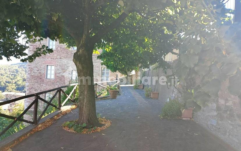 Terratetto unifamiliare 345 m², ottimo stato, Sassetta — foto 22 di 39