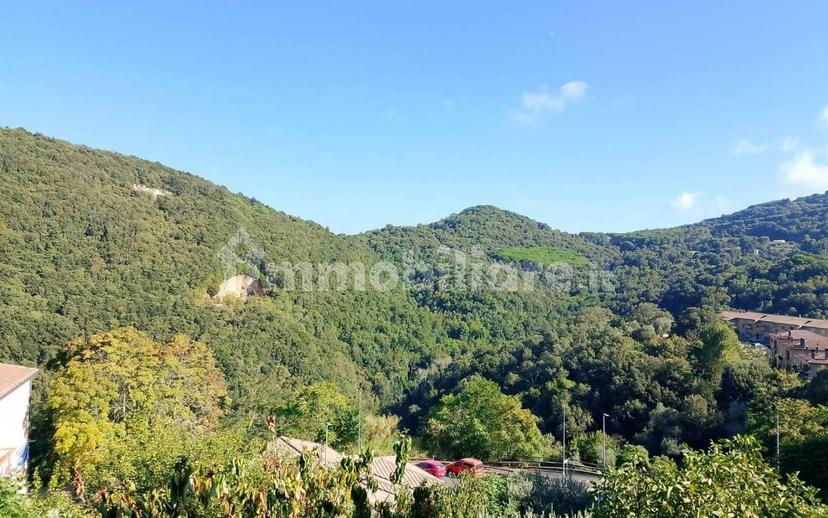 Terratetto unifamiliare 345 m², ottimo stato, Sassetta — foto 35 di 39