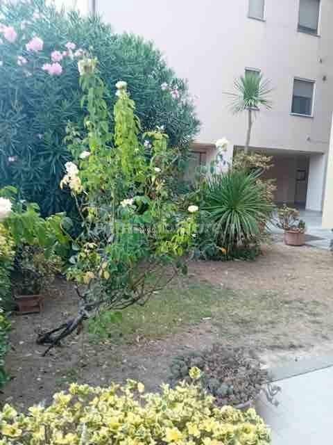 Appartamento via orsa maggiore, Castiglione Paese, Castiglione della Pescaia — foto 35 di 53