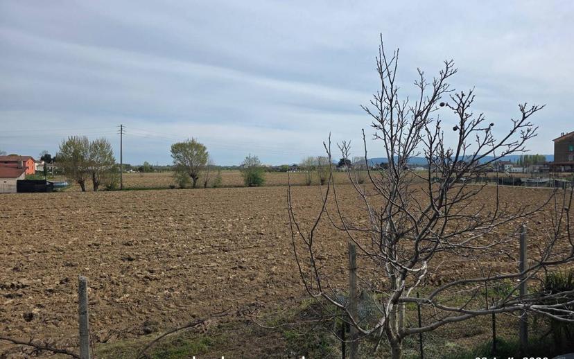 Trilocale via Carlo Vicentini del Giglio 13, Viale Trieste, Saviabona, San Francesco, Anconetta, Vicenza — foto 2 di 15