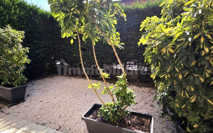 Bilocale via Circonvallazione 20, Piove di Sacco — foto 9 di 18
