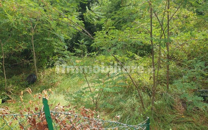 Casale Monte cerignone, Monte Cerignone — foto 3 di 18