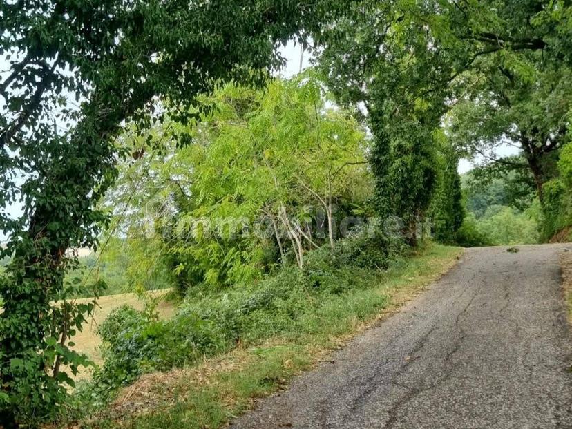 Casale Monte cerignone, Monte Cerignone — foto 7 di 18
