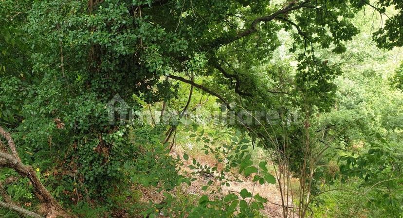 Casale Monte cerignone, Monte Cerignone — foto 9 di 18