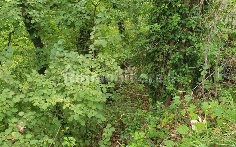 Casale Monte cerignone, Monte Cerignone — foto 11 di 18