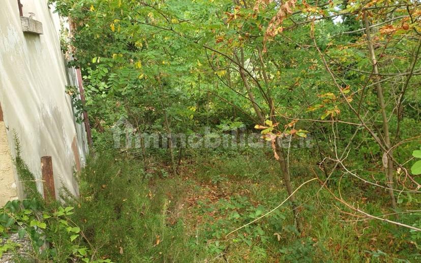 Casale Monte cerignone, Monte Cerignone — foto 15 di 18