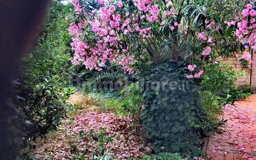 Villa unifamiliare via Del Crocino San C, Scopaia, Livorno — foto 5 di 8