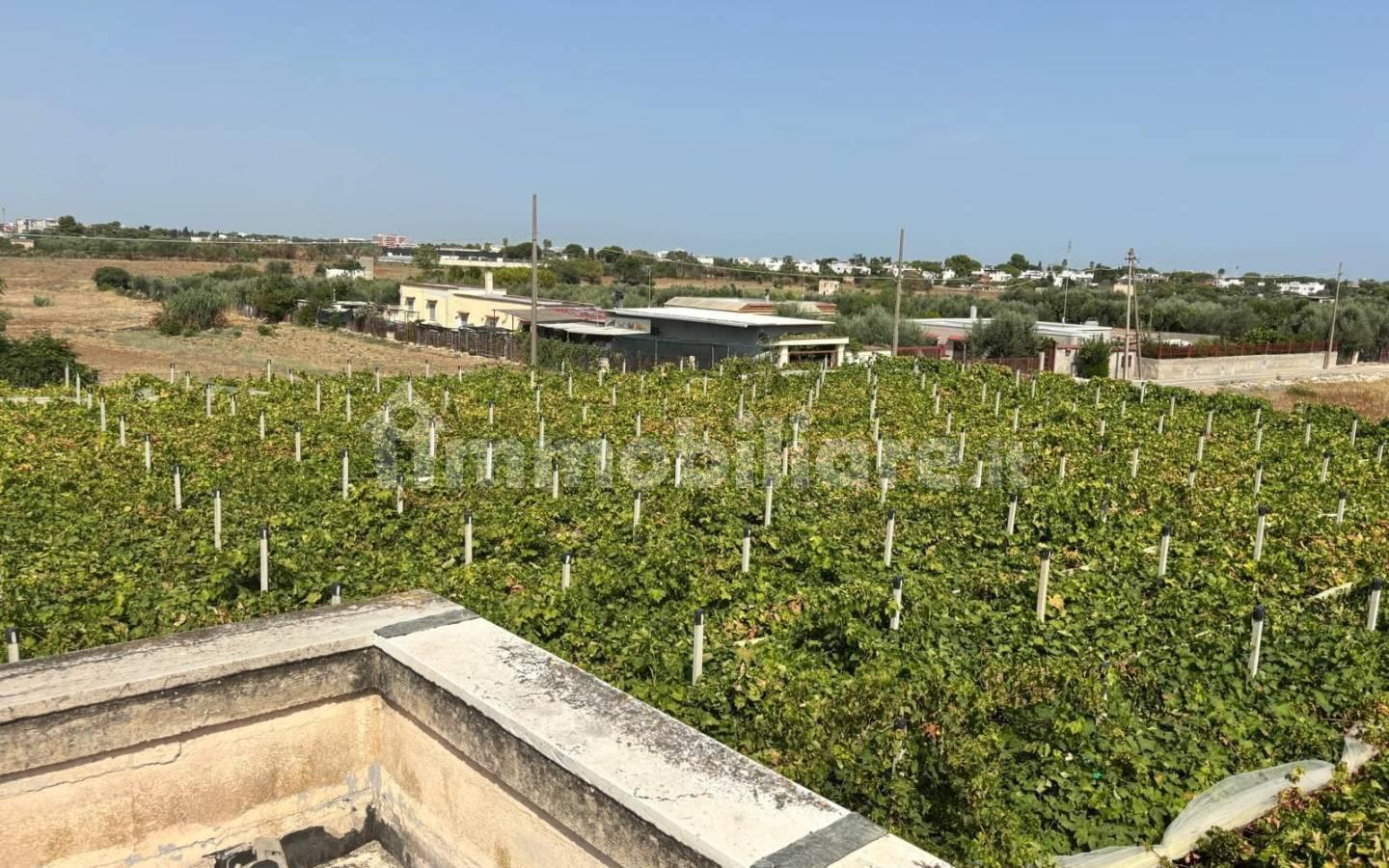 Villa unifamiliare Strada La Trofa 26, Carbonara di Bari, Bari