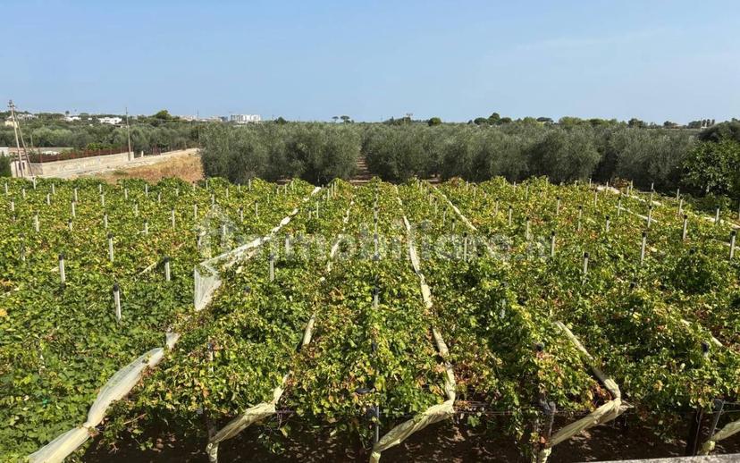 Villa unifamiliare Strada La Trofa 26, Carbonara di Bari, Bari — foto 4 di 20