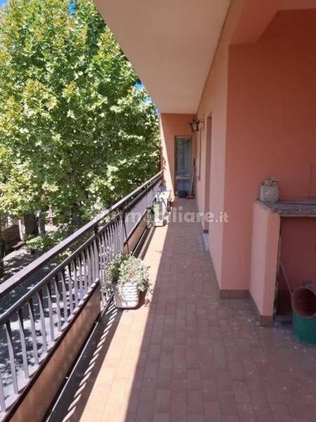 Quadrilocale via 4 Novembre 23, Centro, Barbarano Romano — foto 7 di 14