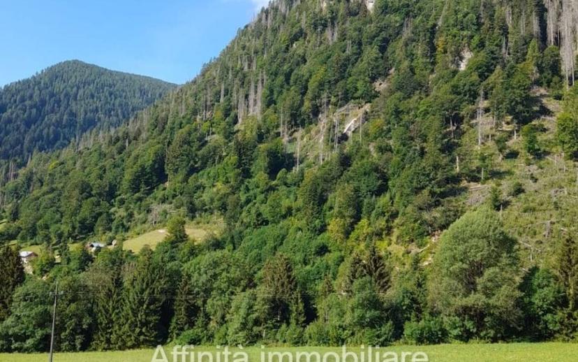 Monolocale buono stato, secondo piano, Telve di Sopra — foto 8 di 22