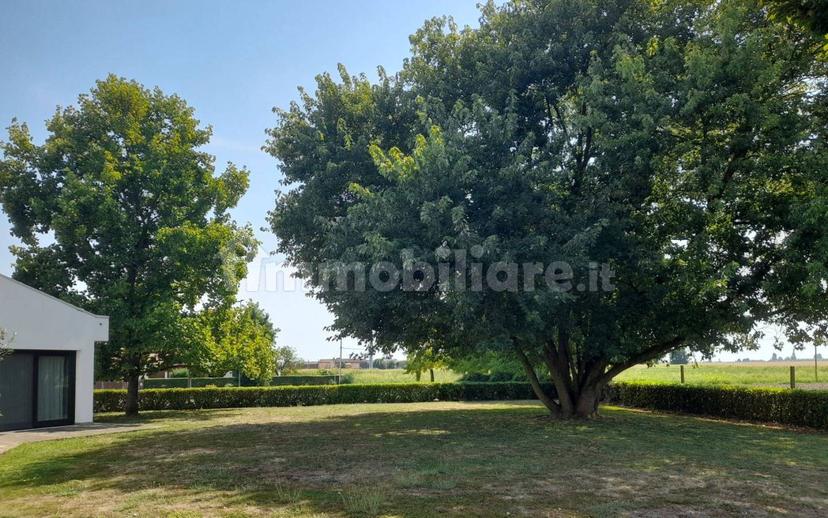 Villa unifamiliare piazza Giacomo Matteotti 6, Centro, Megliadino San Vitale — foto 3 di 10