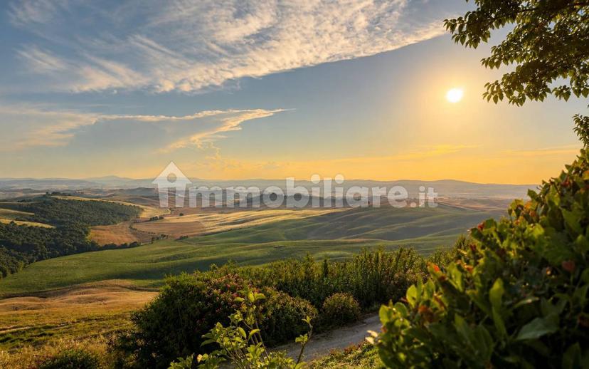 Terratetto unifamiliare Strada di Mucigliani 12, Asciano — foto 10 di 31
