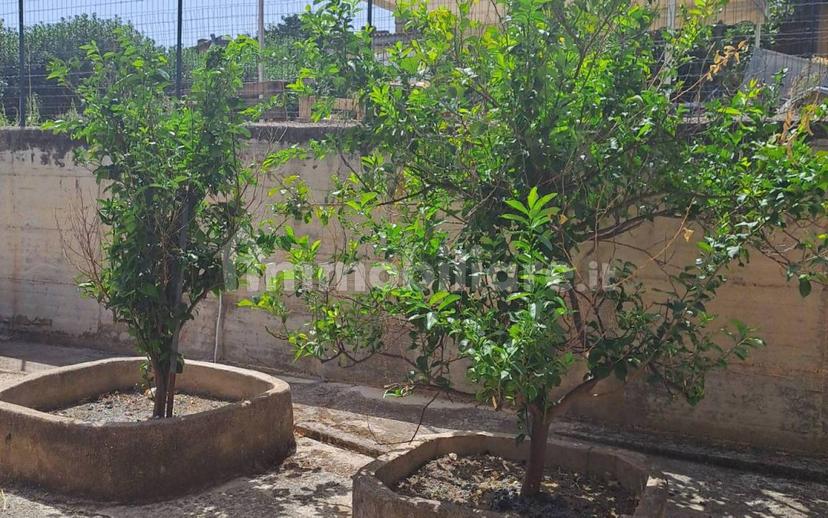 Appartamento in villa Contrada Vanchitello, Raffadali — foto 2 di 15