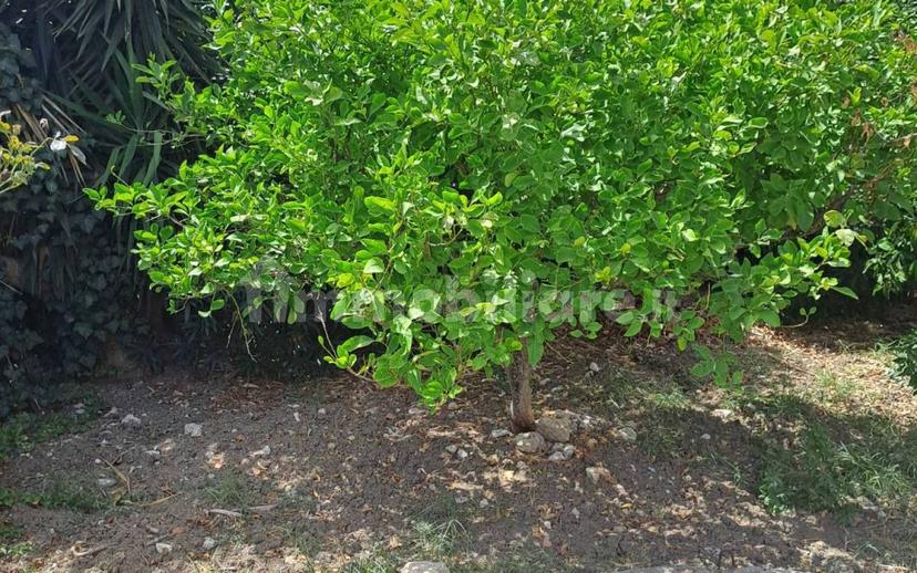 Appartamento in villa Contrada Vanchitello, Raffadali — foto 7 di 15