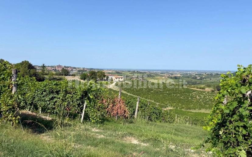 Casale Cascina Montalino 21, Rosignano Monferrato — foto 82 di 101