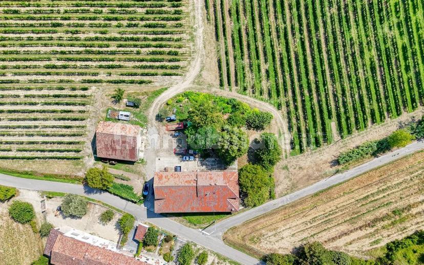 Casale Cascina Montalino 21, Rosignano Monferrato — foto 55 di 101