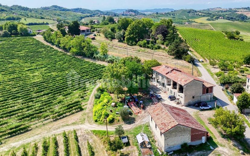 Casale Cascina Montalino 21, Rosignano Monferrato — foto 23 di 101