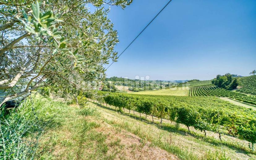 Casale Cascina Montalino 21, Rosignano Monferrato — foto 15 di 101