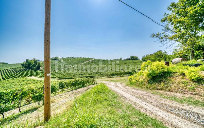 Casale Cascina Montalino 21, Rosignano Monferrato — foto 7 di 101