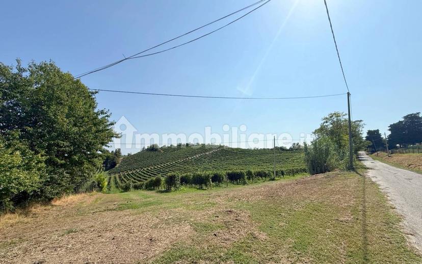 Casale Cascina Montalino 21, Rosignano Monferrato — foto 101 di 101