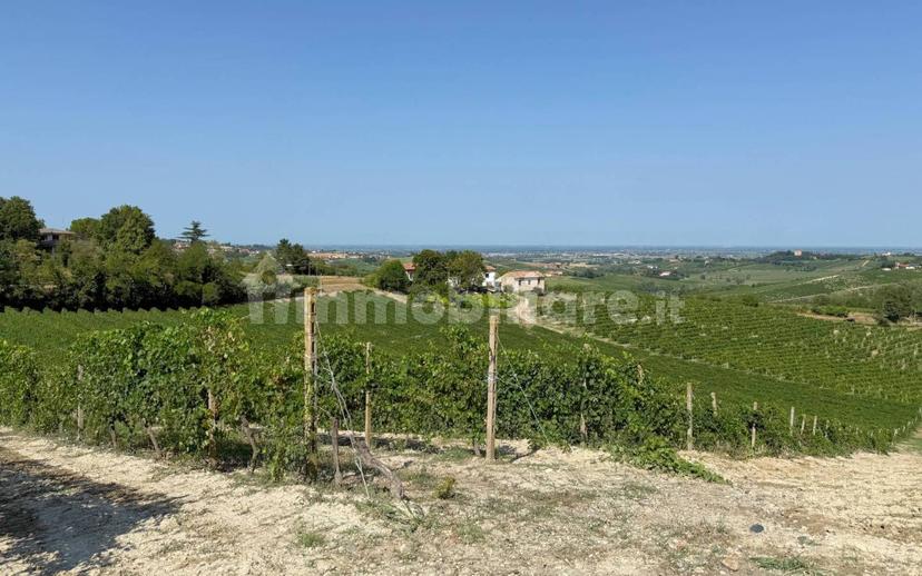 Casale Cascina Montalino 21, Rosignano Monferrato — foto 92 di 101