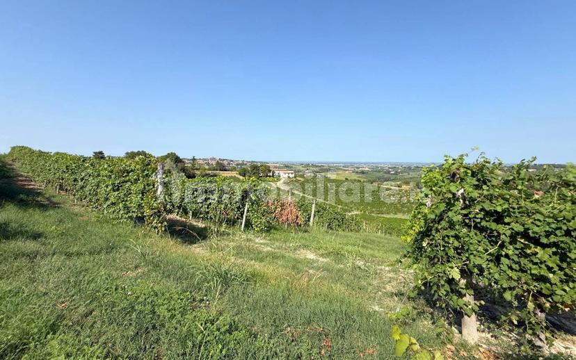 Casale Cascina Montalino 21, Rosignano Monferrato — foto 60 di 101