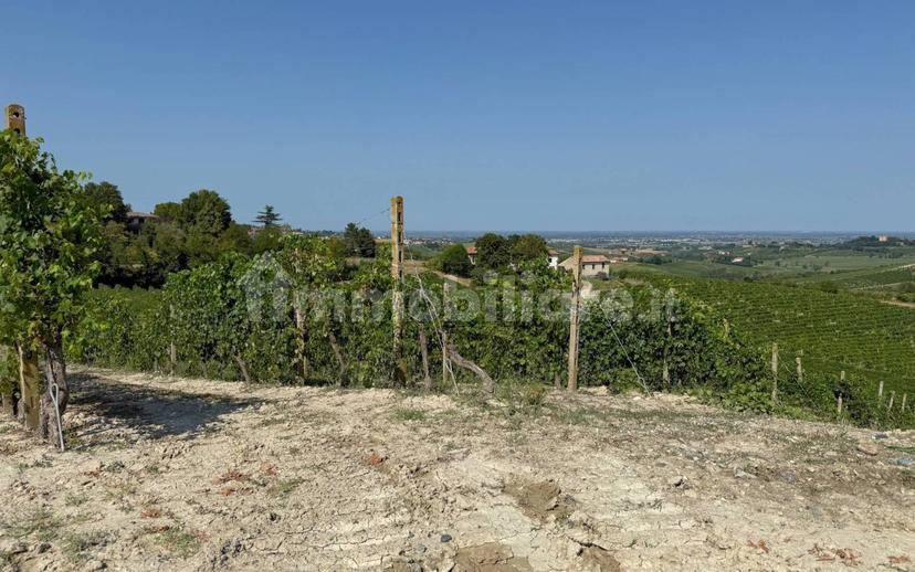 Casale Cascina Montalino 21, Rosignano Monferrato — foto 11 di 101