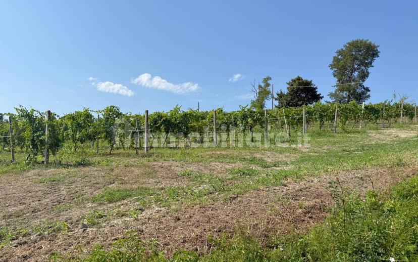 Casale Cascina Montalino 21, Rosignano Monferrato — foto 6 di 101