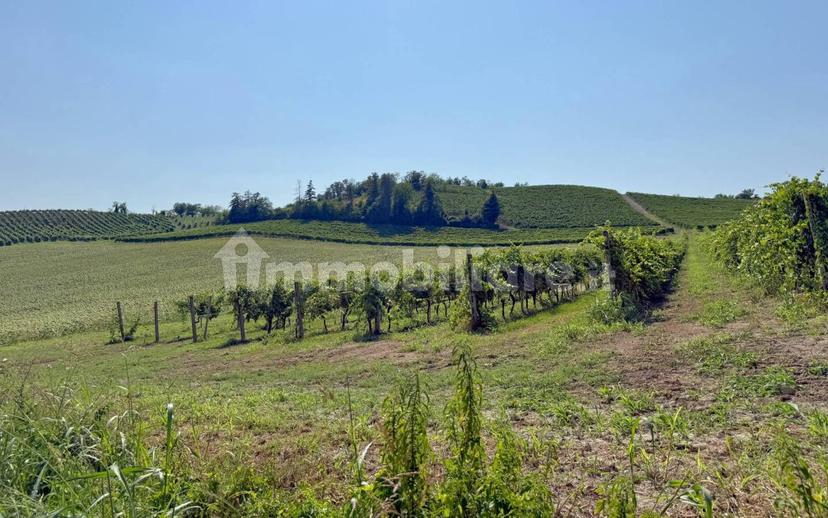 Casale Cascina Montalino 21, Rosignano Monferrato — foto 50 di 101