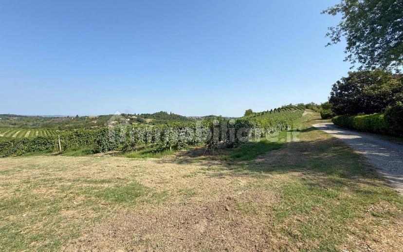Casale Cascina Montalino 21, Rosignano Monferrato — foto 83 di 101