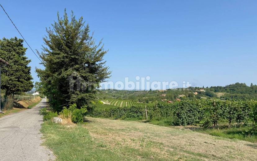 Casale Cascina Montalino 21, Rosignano Monferrato — foto 99 di 101