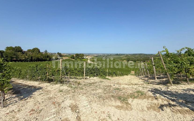Casale Cascina Montalino 21, Rosignano Monferrato — foto 26 di 101