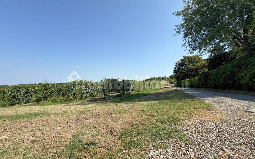 Casale Cascina Montalino 21, Rosignano Monferrato — foto 48 di 101