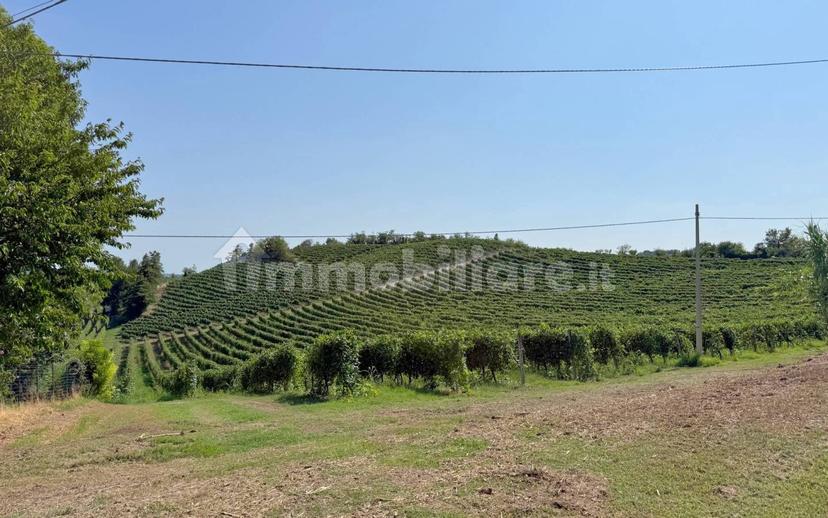 Casale Cascina Montalino 21, Rosignano Monferrato — foto 65 di 101