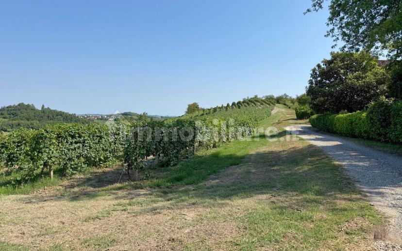 Casale Cascina Montalino 21, Rosignano Monferrato — foto 80 di 101