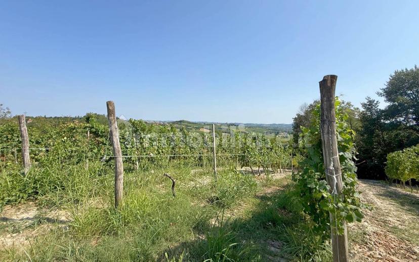 Casale Cascina Montalino 21, Rosignano Monferrato — foto 2 di 101