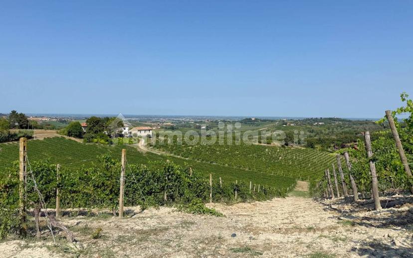 Casale Cascina Montalino 21, Rosignano Monferrato — foto 41 di 101