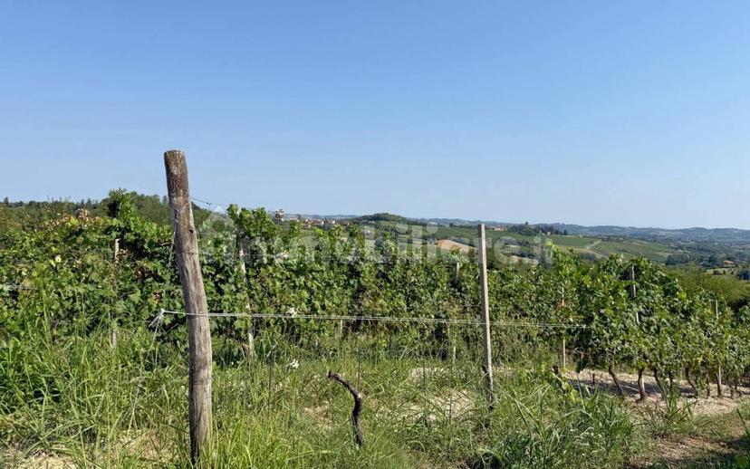 Casale Cascina Montalino 21, Rosignano Monferrato — foto 53 di 101