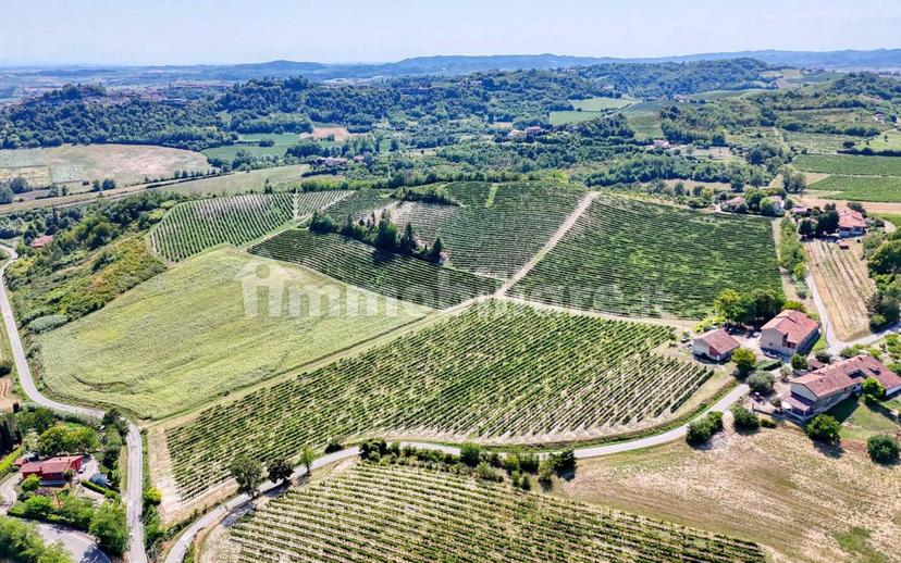 Casale Cascina Montalino 21, Rosignano Monferrato — foto 71 di 101