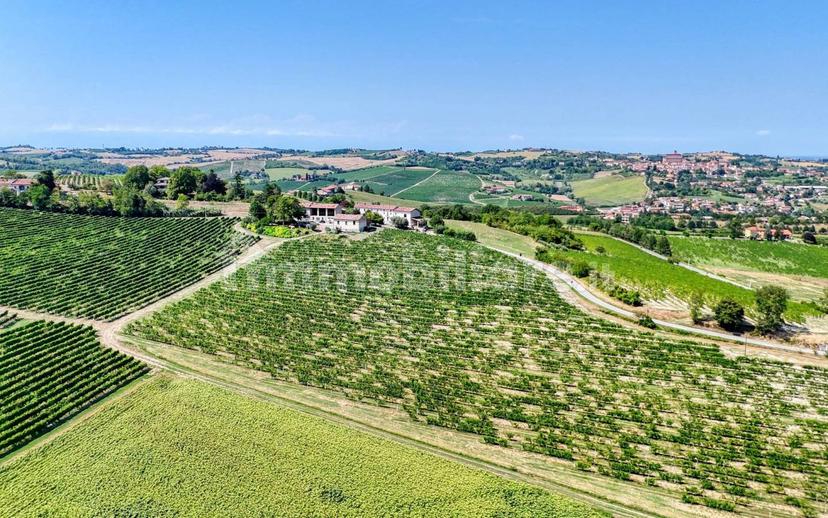 Casale Cascina Montalino 21, Rosignano Monferrato — foto 52 di 101