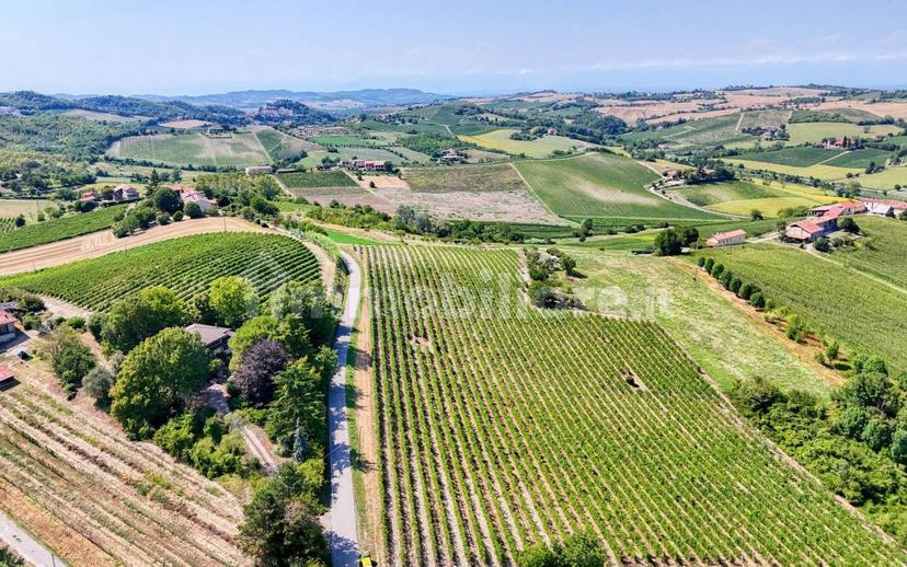 Casale Cascina Montalino 21, Rosignano Monferrato — foto 63 di 101