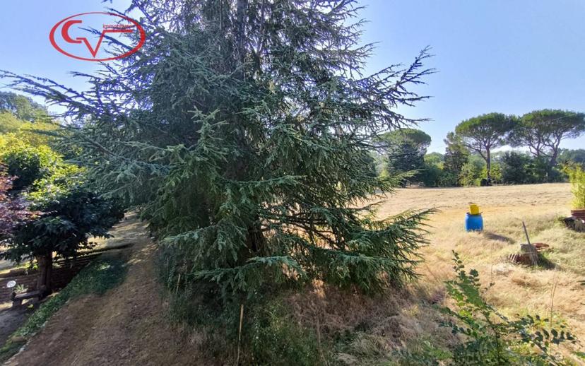 Casa colonica via delle Caselle, San Giovanni Valdarno — foto 23 di 34