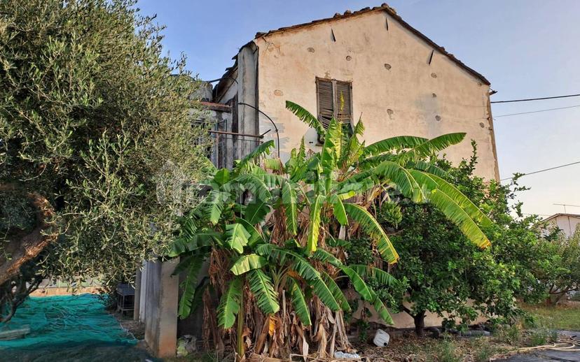 Rustico regione Paragi, Paragi Posillico, Albenga — foto 8 di 11