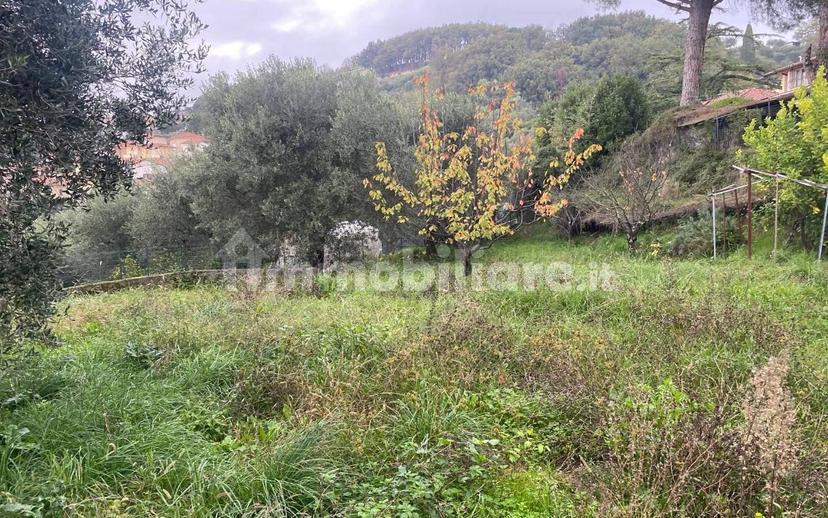 Villa a schiera via di Vitiano, Bargecchia, Corsanico, Massarosa — foto 23 di 33