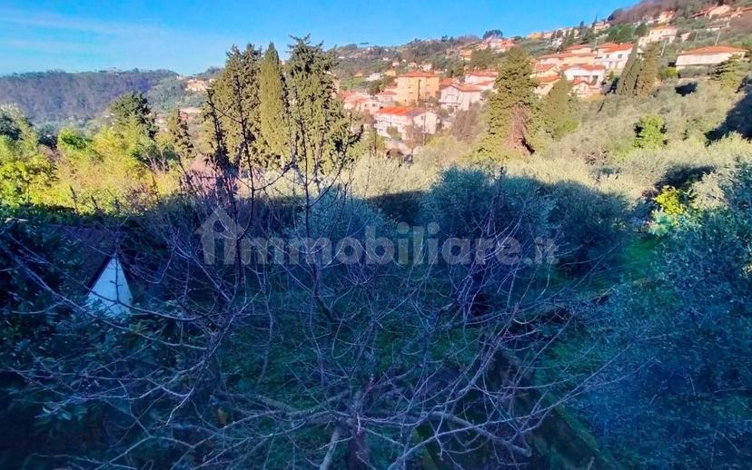 Villa a schiera via di Vitiano, Bargecchia, Corsanico, Massarosa — foto 13 di 33
